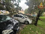 dervio auto ramo