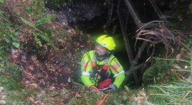 kim soccorso cane grigna