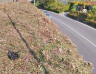 Pulizia sulla SP72 per immissione ciclabile (1)