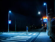 esempio_salva_pedone_4