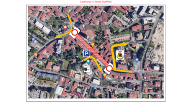 Screenshot 2024-08-03 at 08-27-29 PLANIMETRIA FASE 1 – ORDINANZA 38 – PLANIMETRIA FASE 1 – ORDINANZA 38.pdf