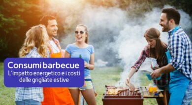 consumi barbecue 2024