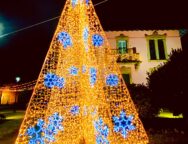 Albero BALLABIO