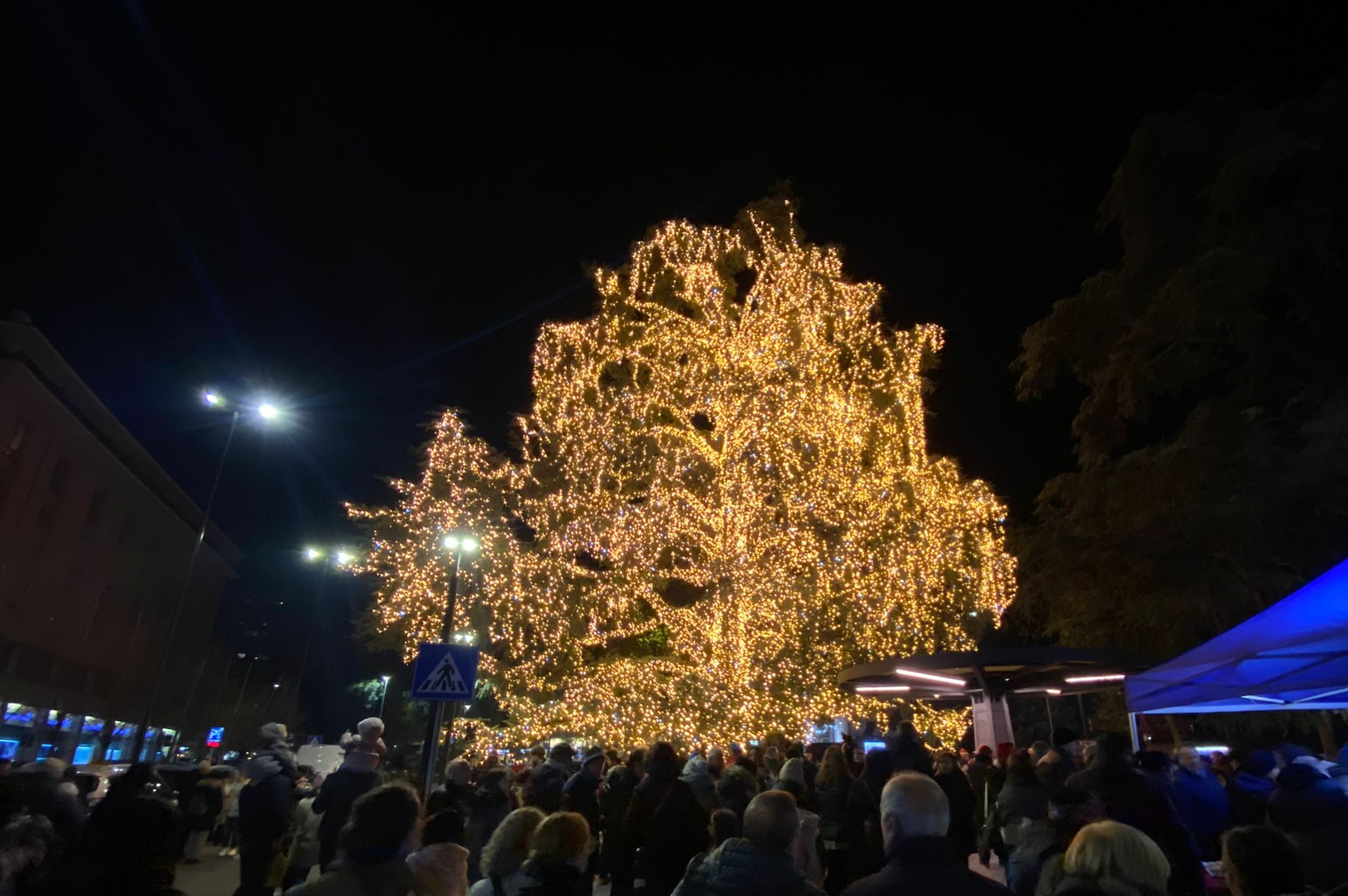 UN VERO SUCCESSO L’ACCENSIONE DELLE LUCI DELL’ALBERO DI NATALE TARGATO LTM