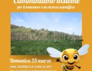 api montevecchia