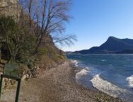 pulizia spiaggia Pradello (1) (1)