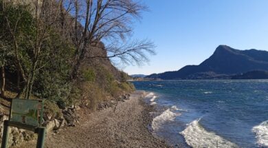 pulizia spiaggia Pradello (1) (1)