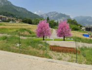 Valma Takes Part – progetto parco Leopardi