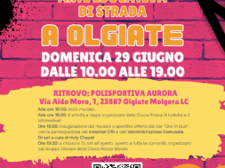 Street Art olgiate – LOCANDINE (12)