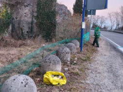 campagna tutela anfibi (1)