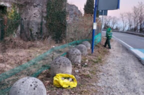 campagna tutela anfibi (1)
