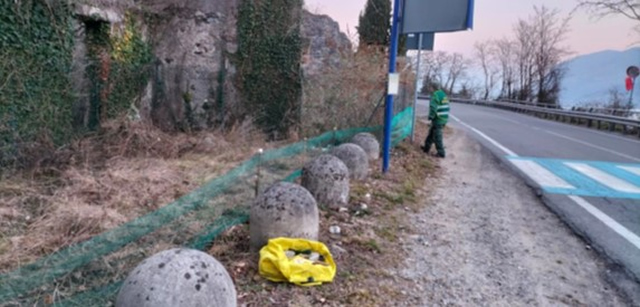 POLIZIA PROVINCIALE: SALVATI OLTRE 60MILA ANFIBI