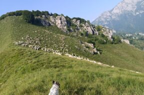 valle san martino