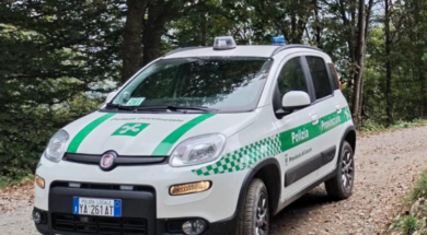 auto polizia provinciale