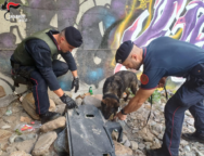 Carabinieri in azione, Colico