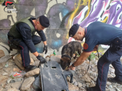 Carabinieri in azione, Colico