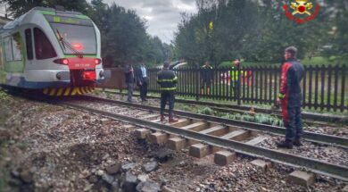 Bulciago treno