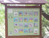 pannello animali percorso didattico