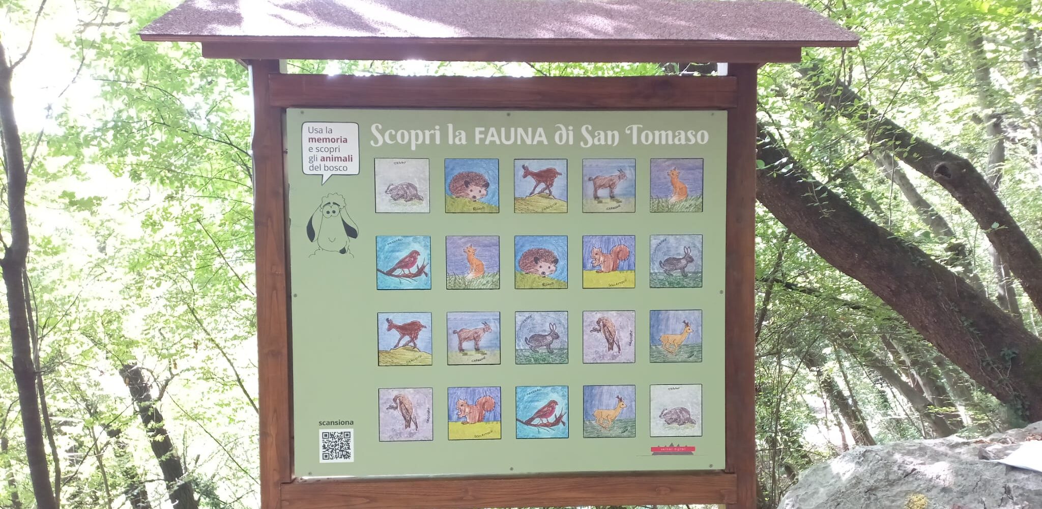 SULLE ORME DI BARIN: A S. TOMASO UN SENTIERO DIDATTICO PER BAMBINI E FAMIGLIE