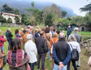 Villa Gomes e Villa Ponchinelli