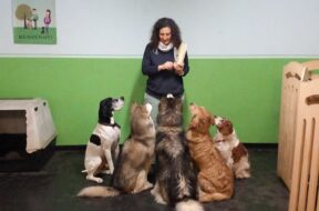 Irene Cagliani incontro per proprietari di cani