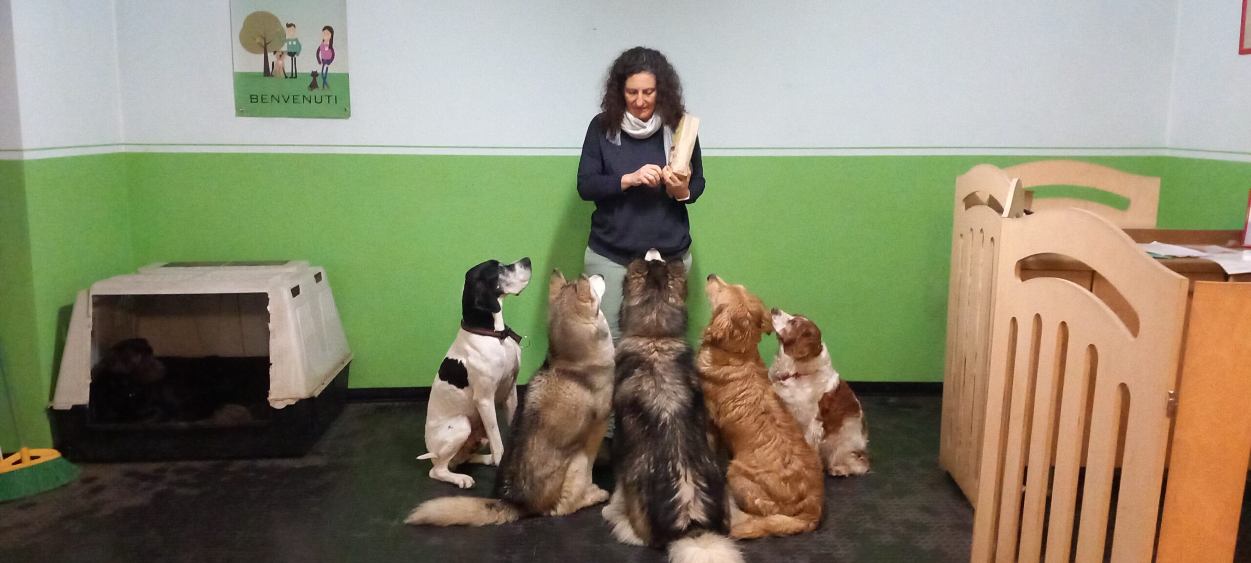 NUOVO INCONTRO GRATUITO PER PROPRIETARI DI CANI