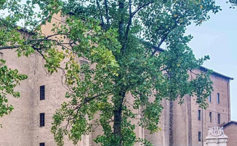 ELENA GRANATA OSPITE ALL’ANCE: “QUESTA CITTA’ NON E’ UN ALBERGO”