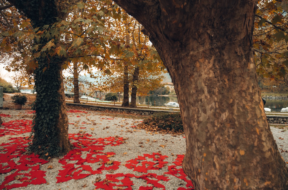 lecco si tinge di rosso