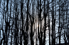 MOSTRA “TRA LUCE E OMBRA. FOTOGRAFIE DI ROCCO LUCARIELLO”