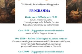 LOCANDINA