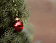 albero di natale