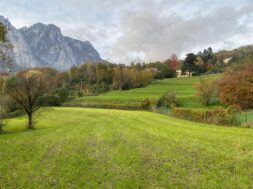 IMMAGINE 01 – ZONA CHE VERRA’ RESA EDIFICABILE (1)