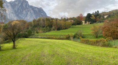 IMMAGINE 01 – ZONA CHE VERRA’ RESA EDIFICABILE (1)
