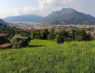 cavagna