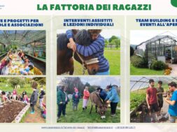 Fattoria dei Ragazzi – Grafica