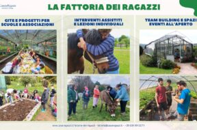 Fattoria dei Ragazzi – Grafica