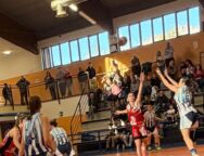 LBW – Gallarate 1