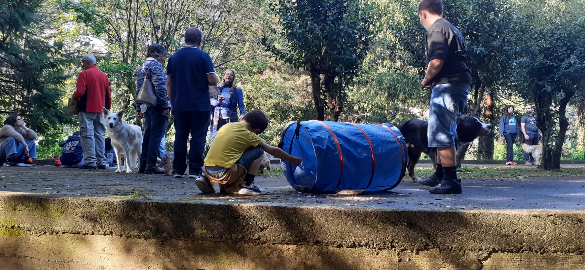 GRANDE SUCCESSO A VERCURAGO PER L’INAUGURAZIONE DEL CENTRO CINOFILO FAMILY DOG