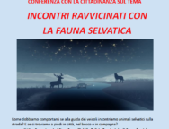 Screenshot 2026-04-15 at 16-38-26 C _Users_carbo_AppData_Local_Temp_msoD8D4.tmp – Incontri ravvicinati con la fauna selvatica-1.pdf