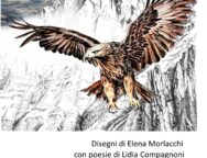 flyer mostra