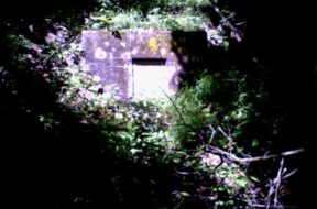 Foto1_109_1