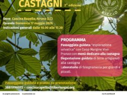 Volantino Ode ai castagni