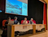 Approvazione bilancio Silea
