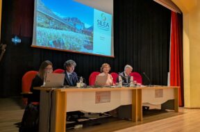 Approvazione bilancio Silea