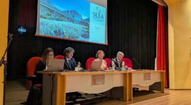 Approvazione bilancio Silea