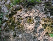 rinvenimenti sito azzarola (1)