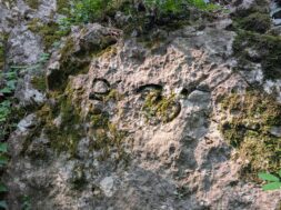 rinvenimenti sito azzarola (1)