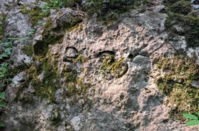 rinvenimenti sito azzarola (1)