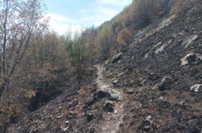 INCENDIO DEL MOREGALLO