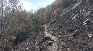 INCENDIO DEL MOREGALLO